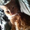jasperscruse