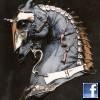 equyne