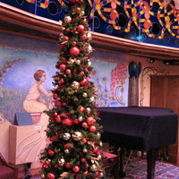 On board the Carnival  Spirit