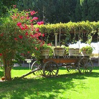 Wine Country