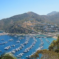 Avalon