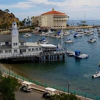 Catalina