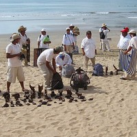 Mazatlan