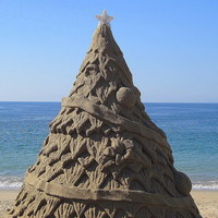 On the beach
