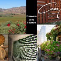 Wine Country