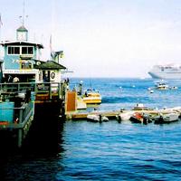 Esstasy in Catalina
